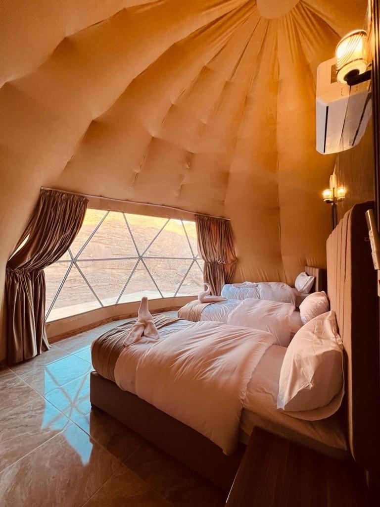desert stars camp Wadi Rum Rom bilde