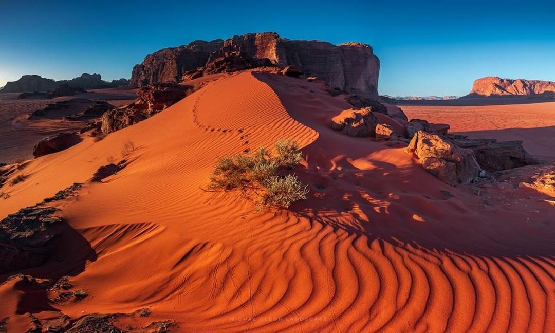 desert stars camp Wadi Rum Eksteriør bilde